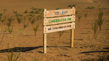 1748334985470865.png wps16.png