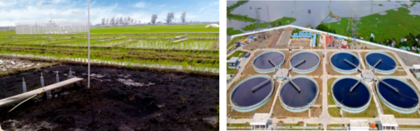 1754535079567760.png 1754535079567760.png